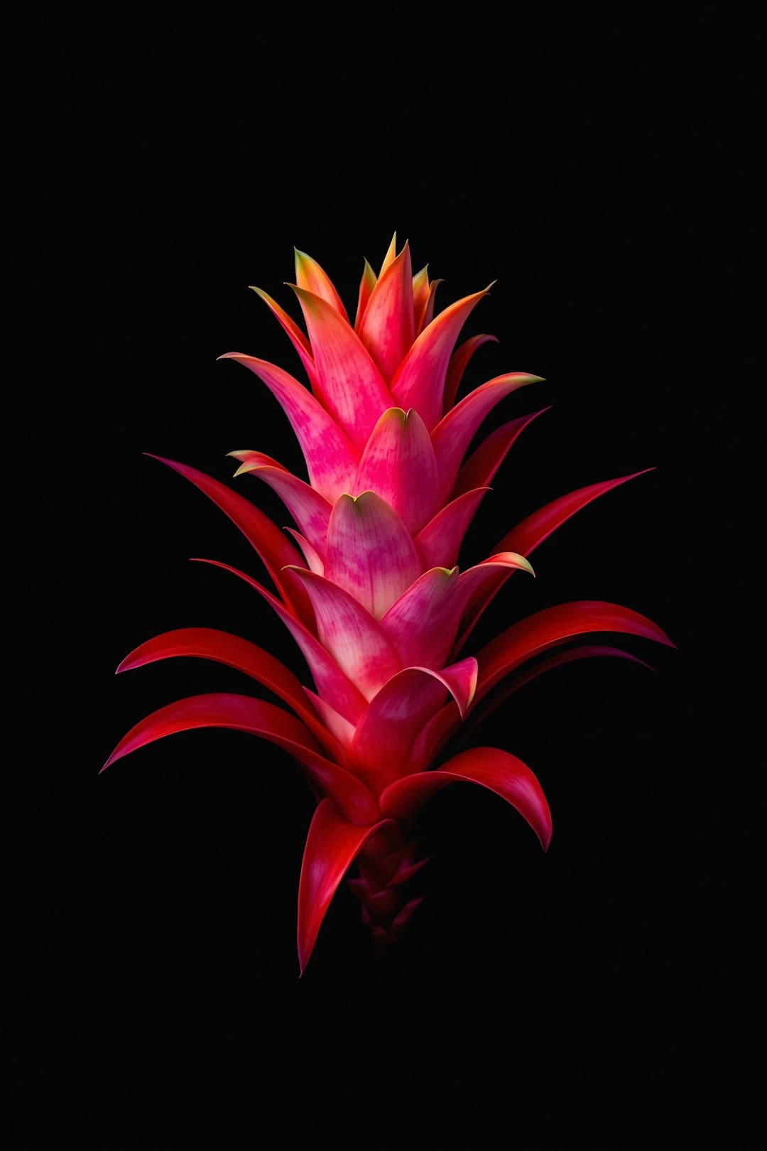 织女看了都点赞 传承非遗才是七夕的“躲藏大招”｜我的节节·七夕篇